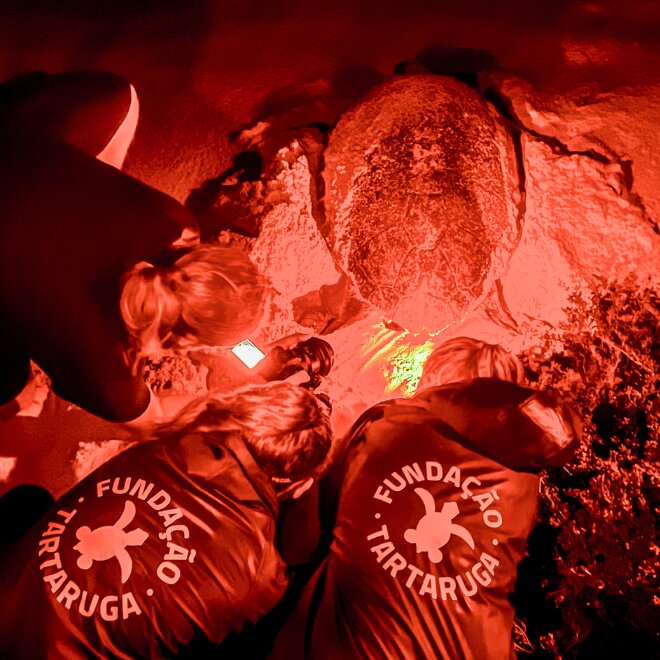 New 1 carousel image 2