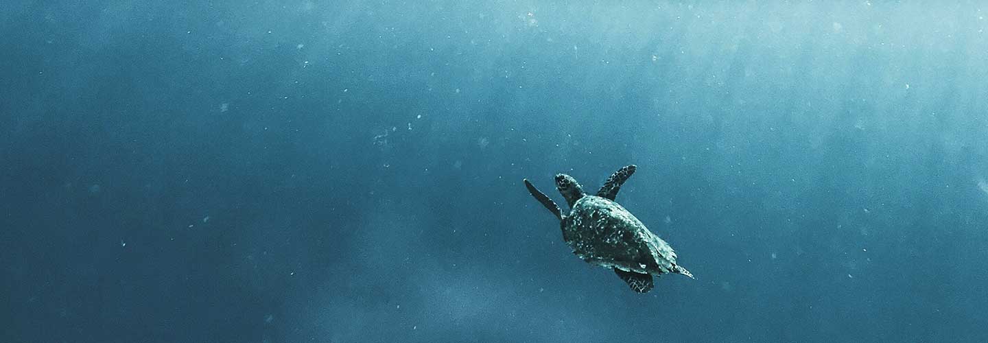 Preserving Biodiversity banner