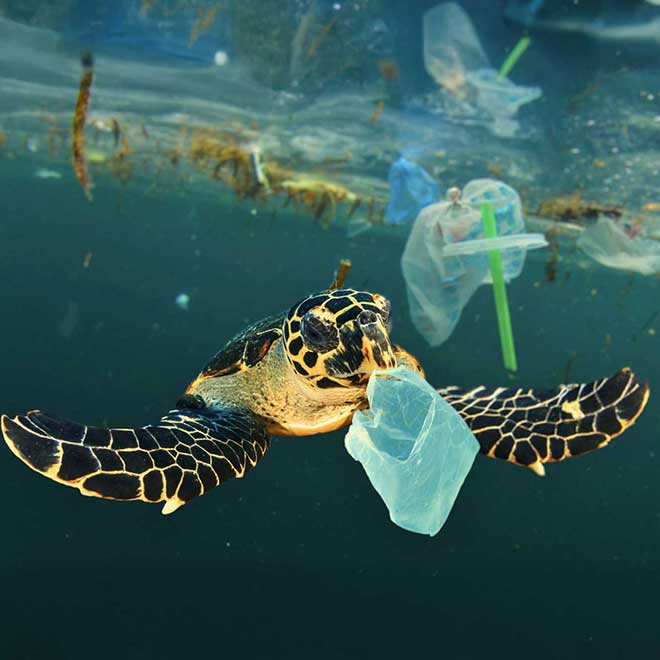 New 1 carousel image