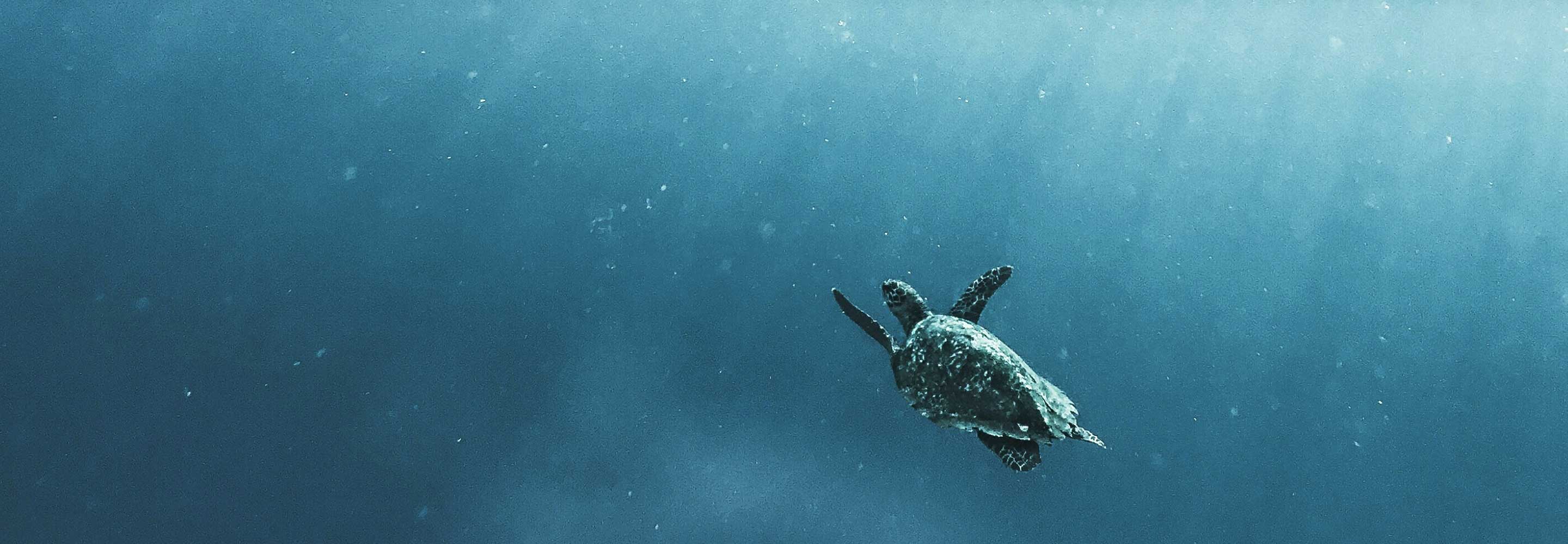 Preserving Biodiversity banner