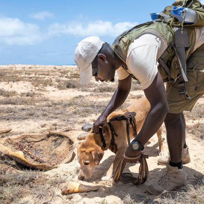 New 1 carousel image